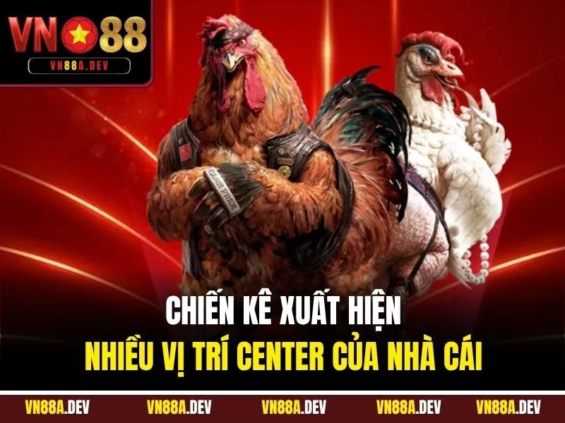 Chiến kê xuất hiện nhiều vị trí center của nhà cái